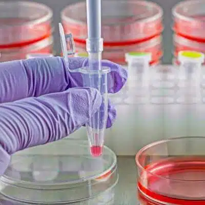 Peptides for Cancer Research