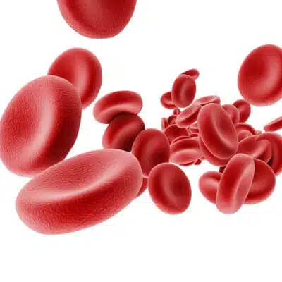 Peptides for Hematology Research