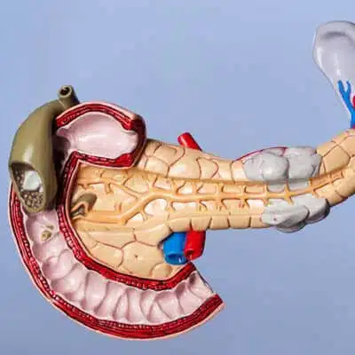 Hormonal Peptide Research