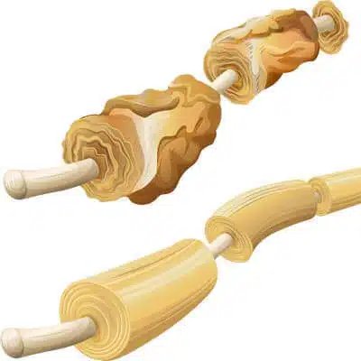 Peptides to Study Neurodegenerative Disease