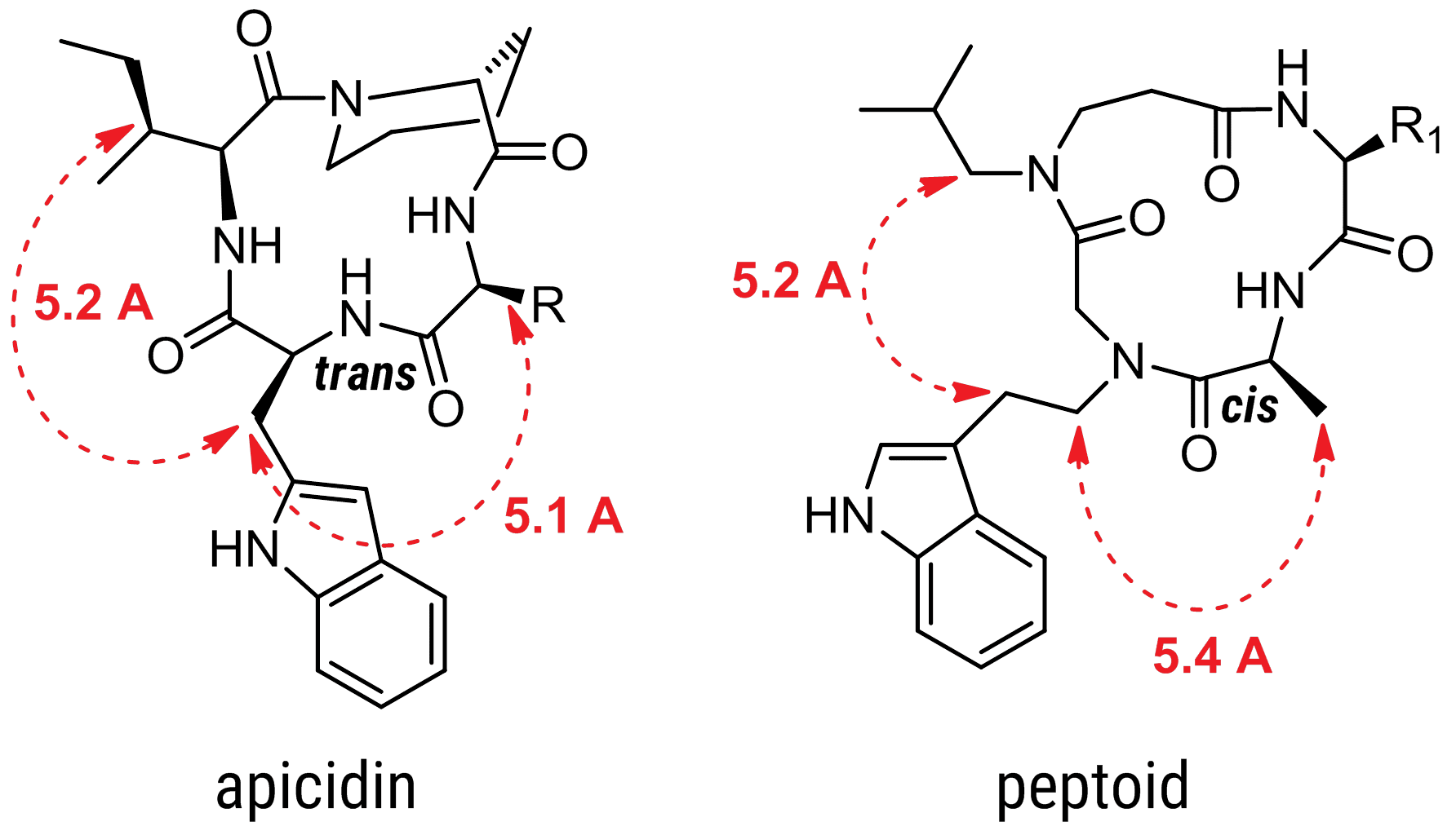 Peptoid-Apicidin molecule structures