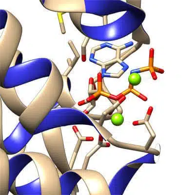 peptide protein-kinase substrates