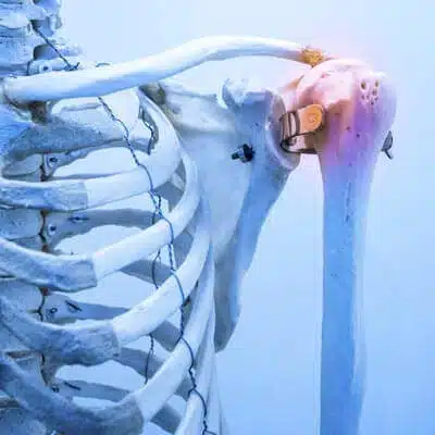 Peptides for Osteoporosis Research