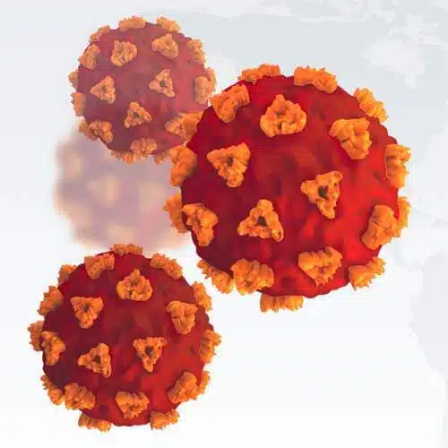 COVID Catalog Peptides