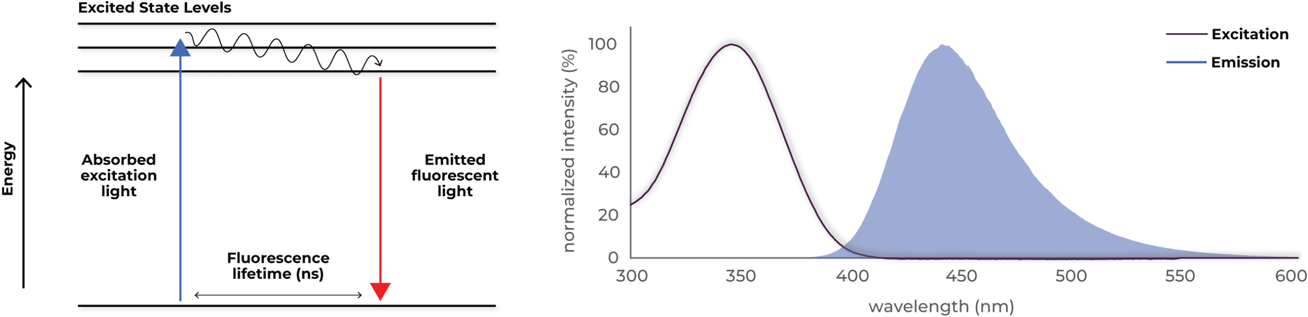 Fluorescence AMC dye Fluorescence AMC dye