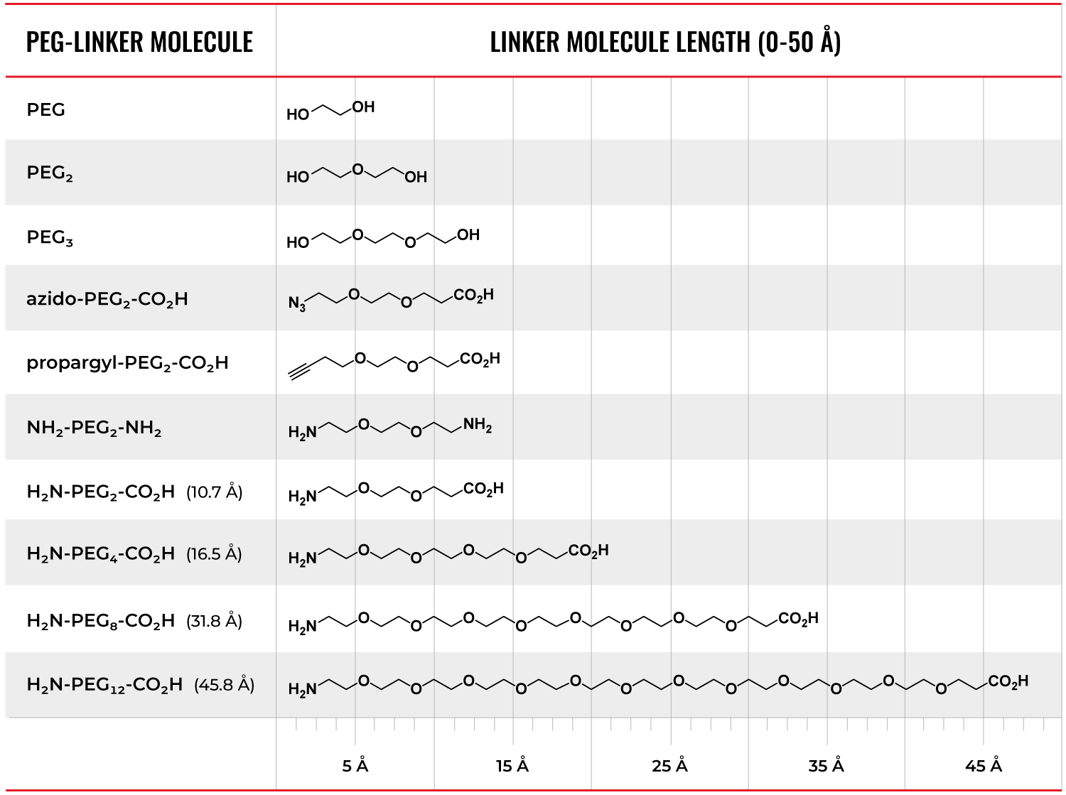 PEG Linker length in peptide or oligo conjugates