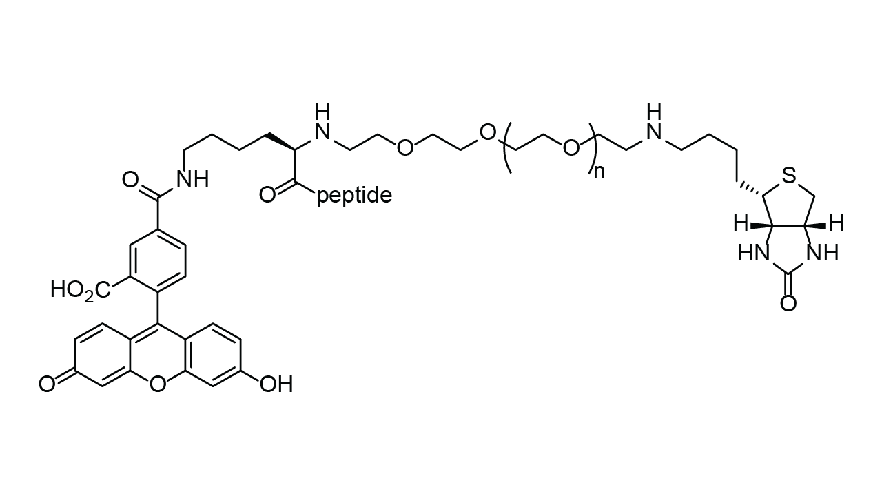FAM-labled custom peptide with PEG linker