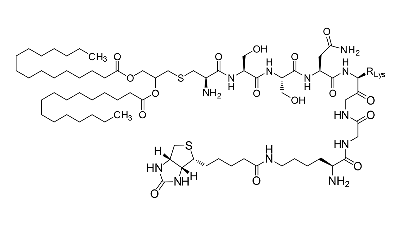 Dipalmitoyl labeled custom peptide with biotin Pam2Cys-SSNKNGGK-Biotin