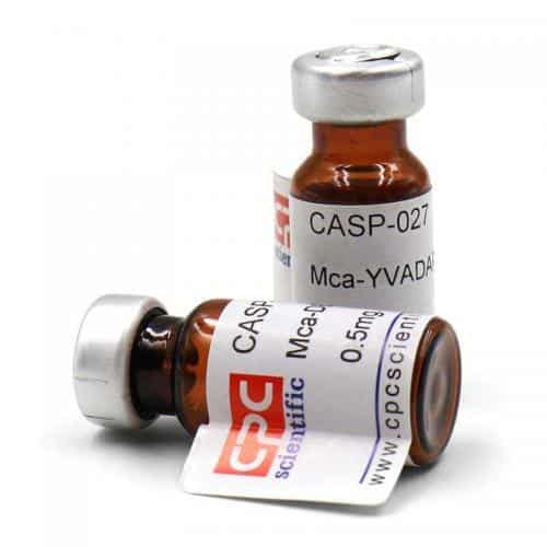 Caspase-Substrate V, Fluorogenic