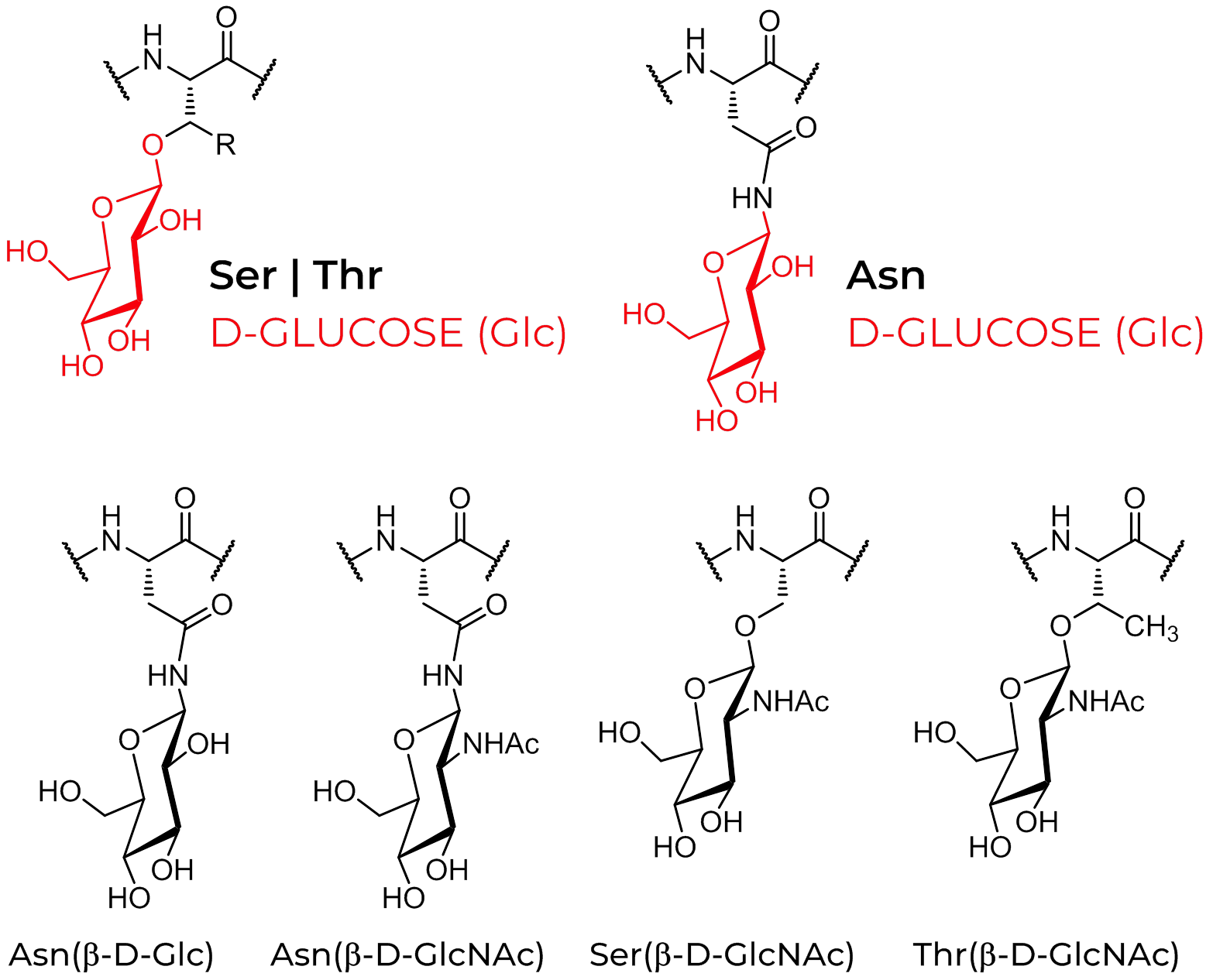 D-Glucose modified peptide side chains