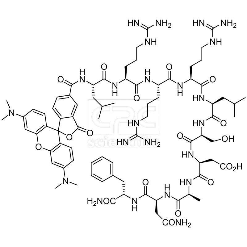 Synapsin I-derived peptide, TAMRA-labeled