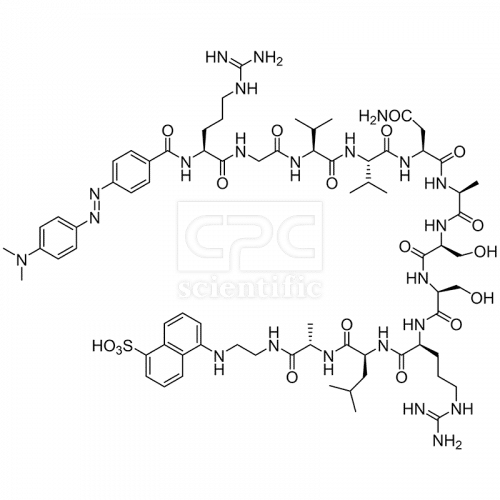 Fluorogenic Human CMV Protease Substrate