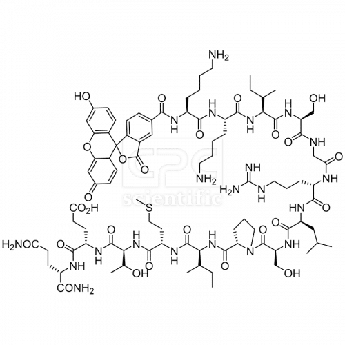 Woodtide, FAM-labeled, Forkhead derived peptide
