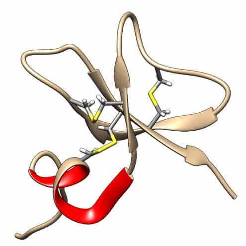 beta-Defensin 3