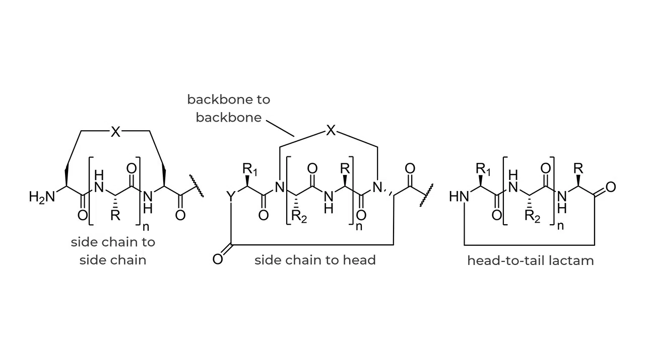 Macrocyclization Whitepaper