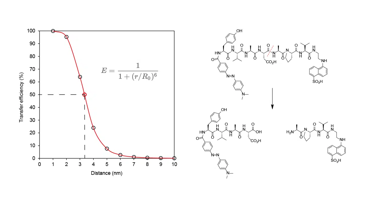 FRET peptide substrates whitepaper