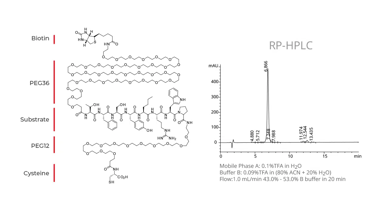 Peptide PEGylation Whitepaper