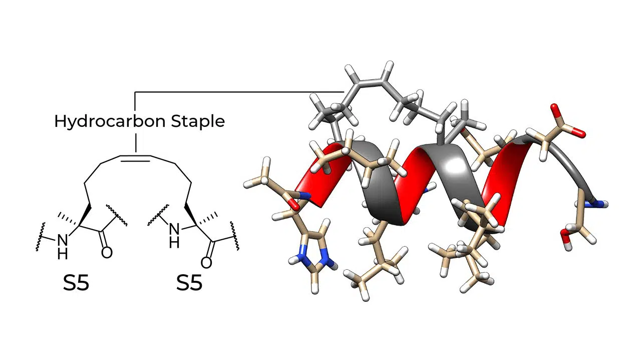 Stapled Peptide Whitepaper