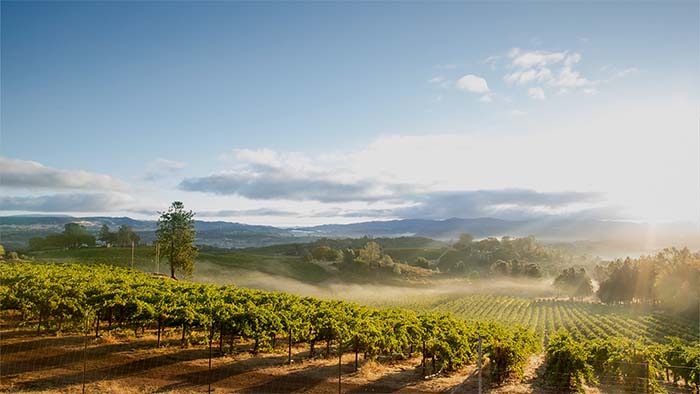 CPC Scientific attends Boulder Peptide Symposium in Napa Valley, CA