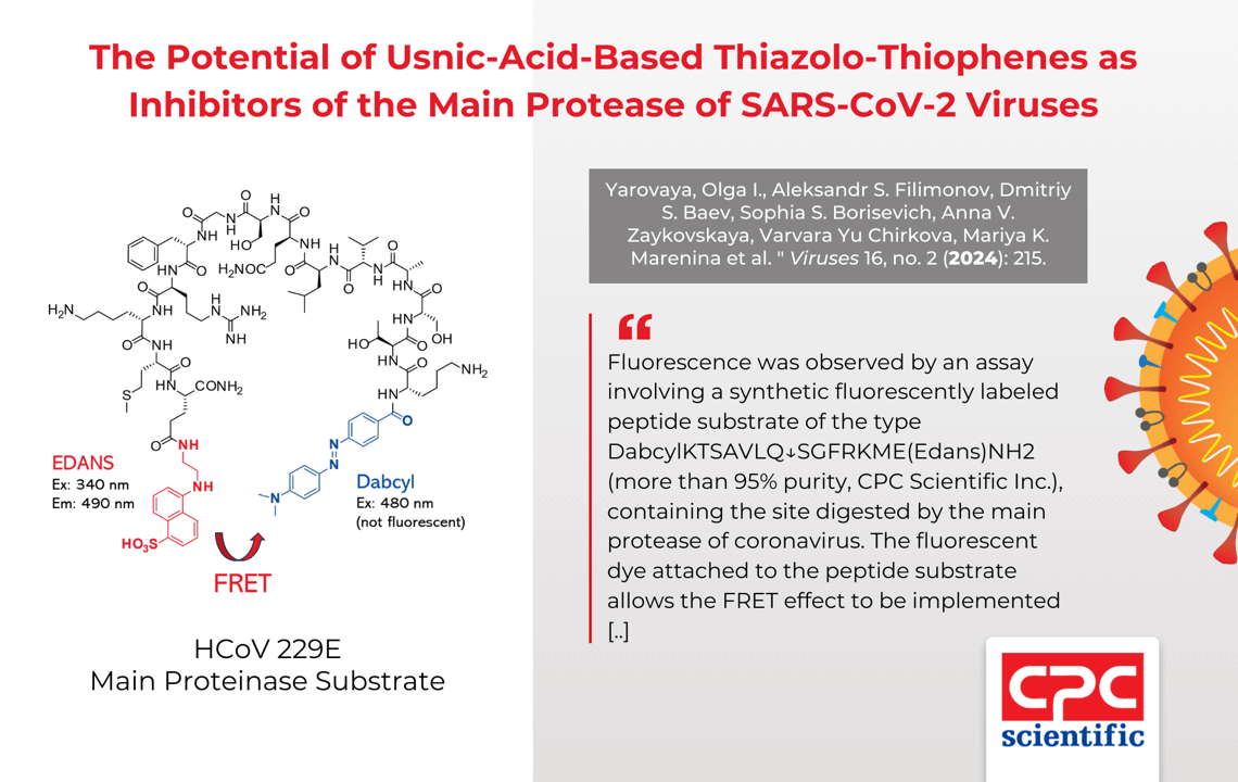 HCoV-229E FRET peptide substrate
