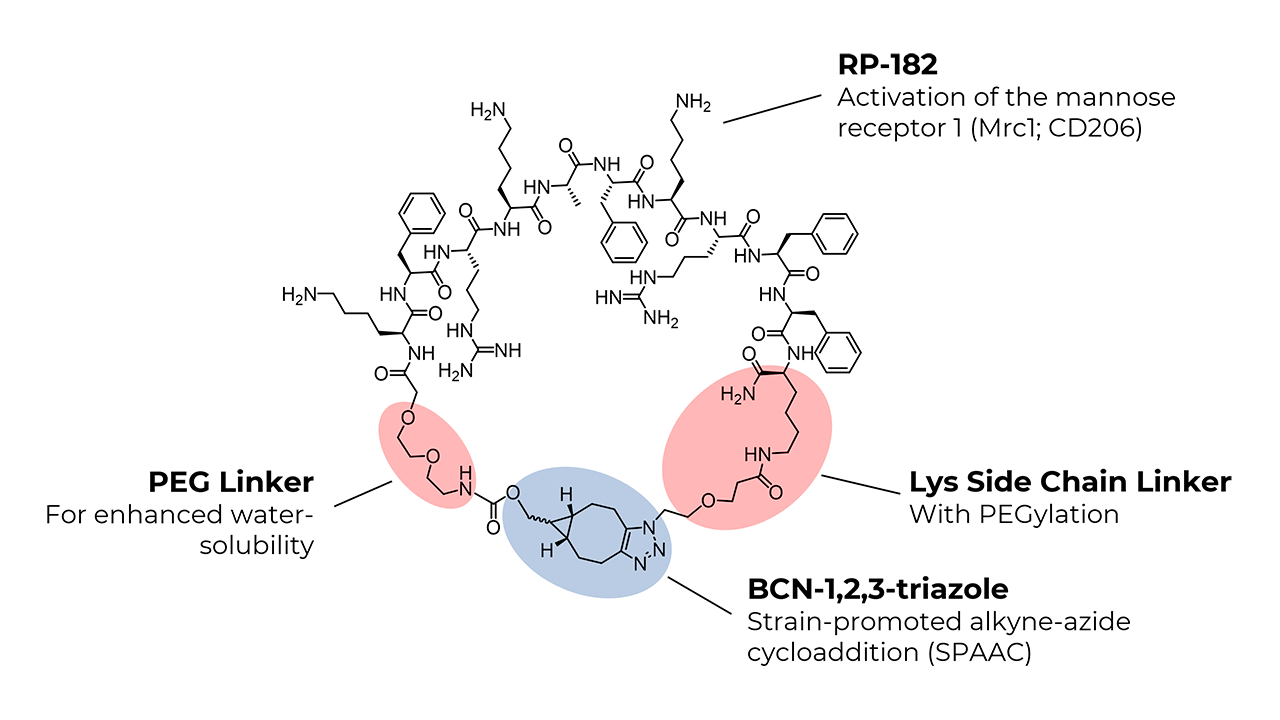 RP-182-colored_label2_min RP-182 Synthesis by click chemistry